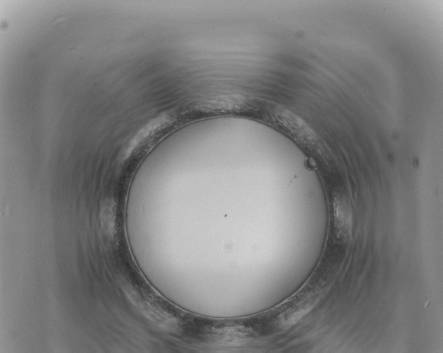 X0000073700396200608101819