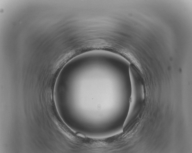 X0000073700397200608101819