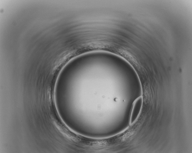 X0000073700398200608101819