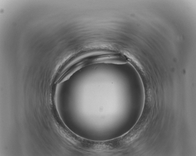 X0000073700399200608101819