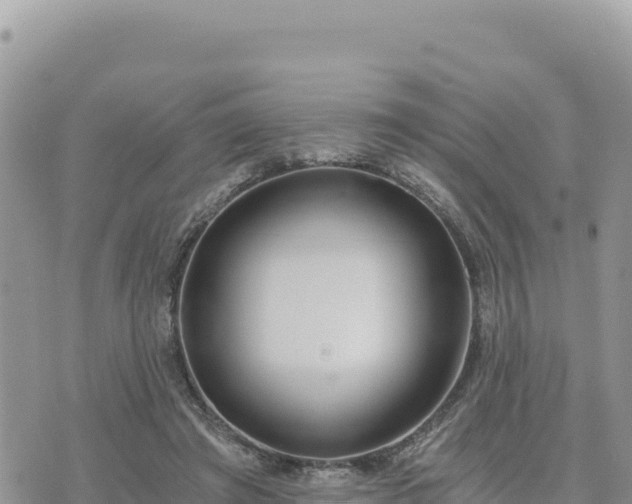 X0000073700401200608101819