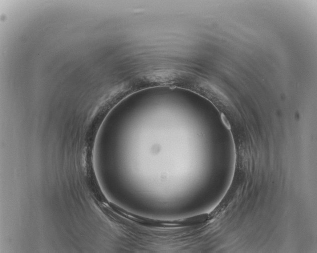 X0000073700404200608101819