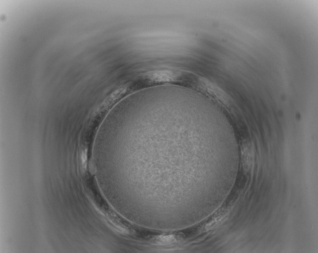 X0000073700406200608101818