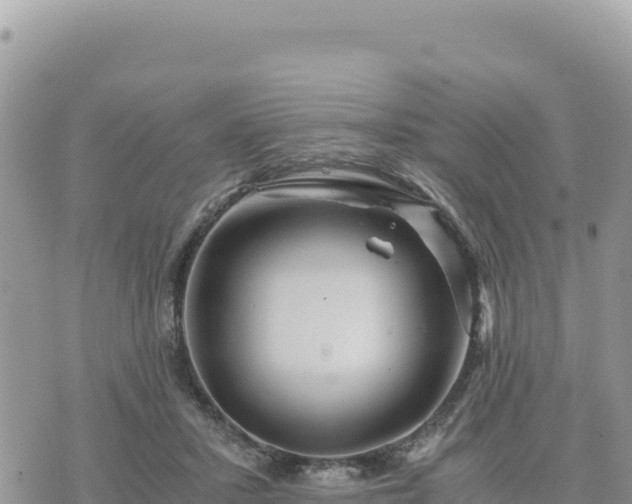 X0000073700407200608101818