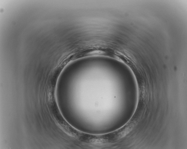 X0000073700408200608101818