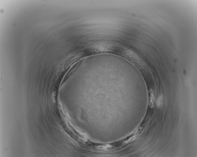 X0000073700410200608101818