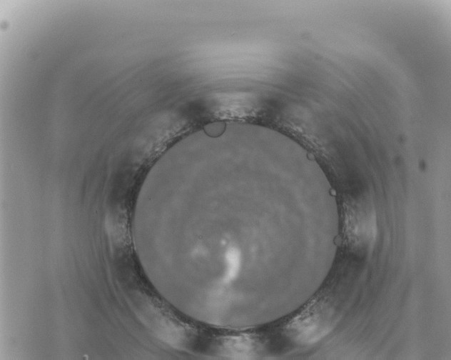 X0000073700411200608101818