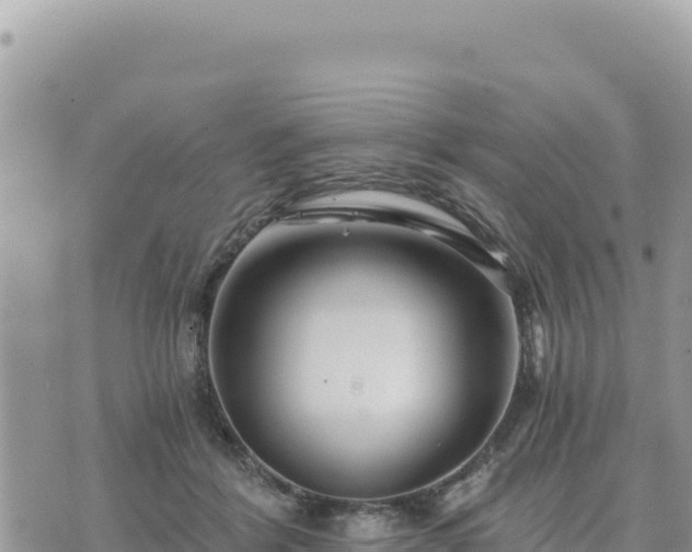 X0000073700412200608101818