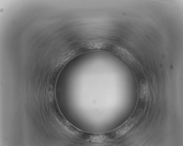 X0000073700414200608101818