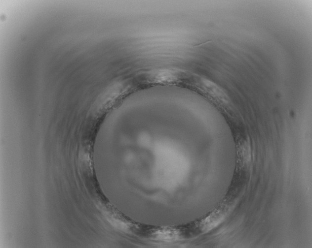 X0000073700415200608101818