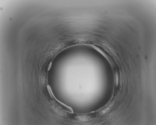 X0000073700417200608101818