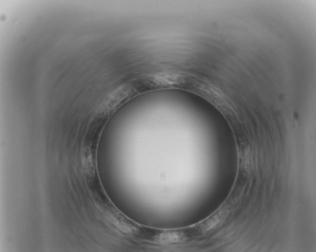 X0000073700418200608101818