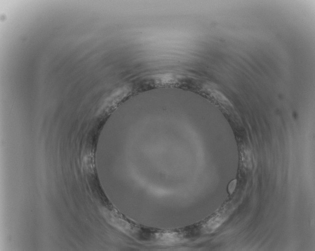 X0000073700419200608101818