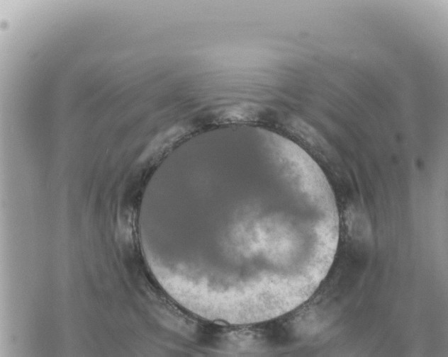 X0000073700423200608101818