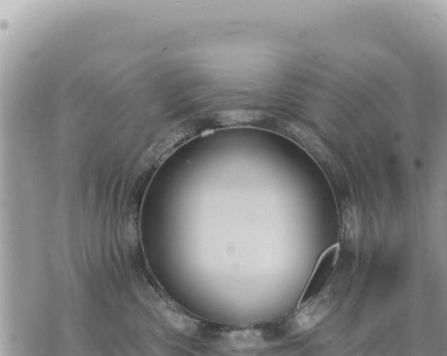 X0000073700426200608101818