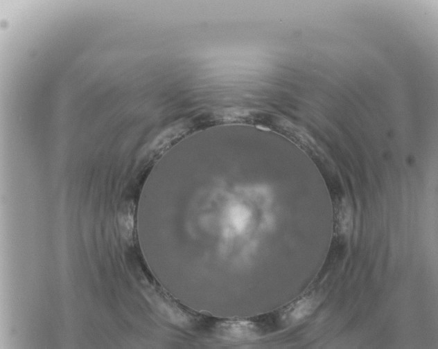 X0000073700427200608101818