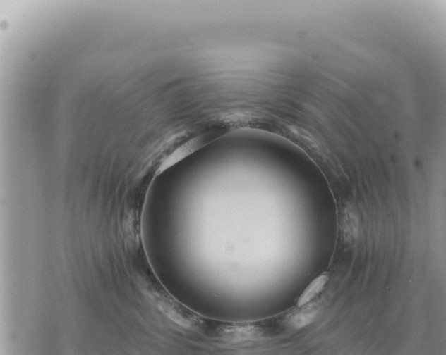 X0000073700428200608101818