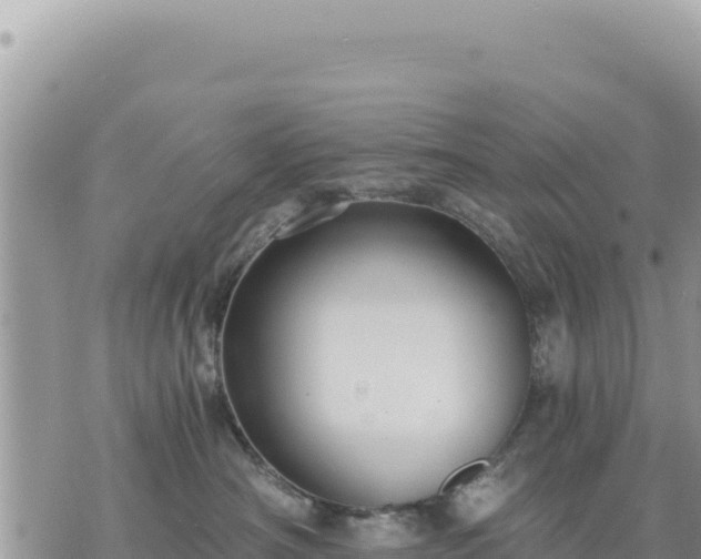 X0000073700430200608101818