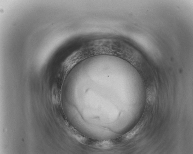 X0000073700431200608101818