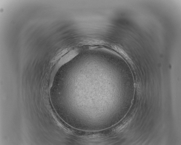 X0000073700433200608101817