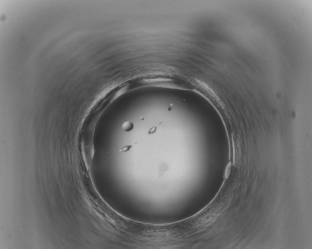 X0000073700435200608101817