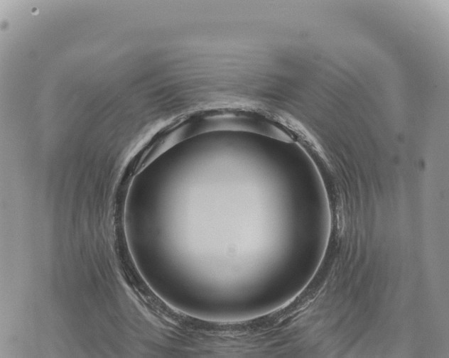 X0000073700436200608101817