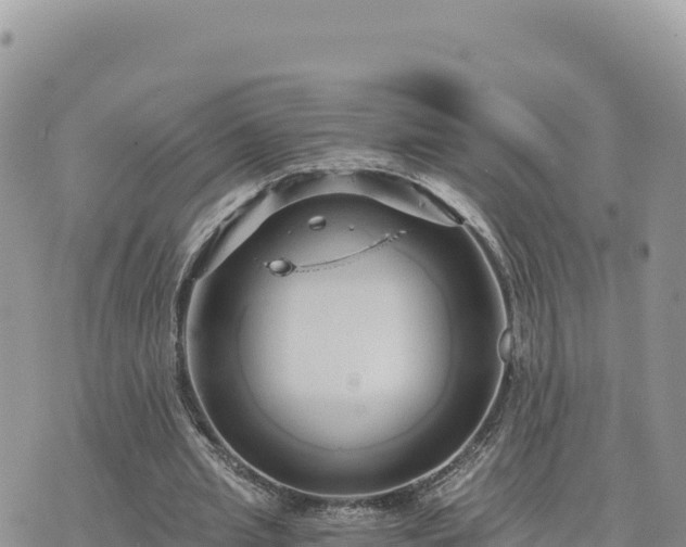 X0000073700437200608101817