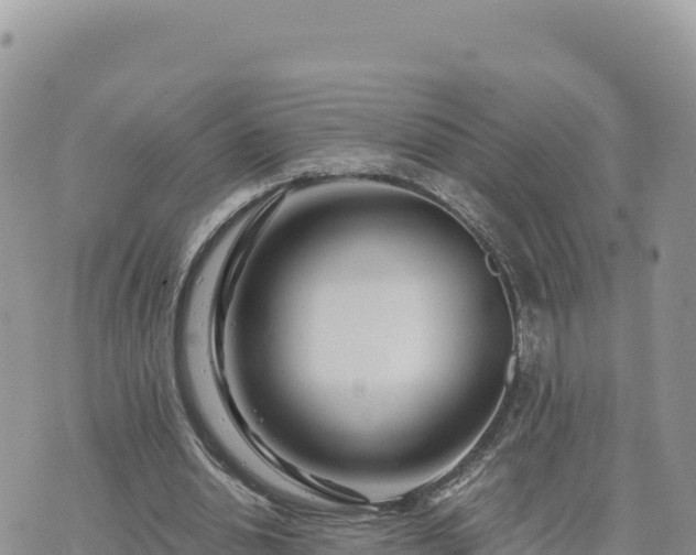 X0000073700438200608101817