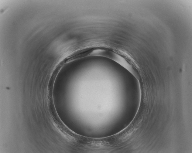 X0000073700439200608101817