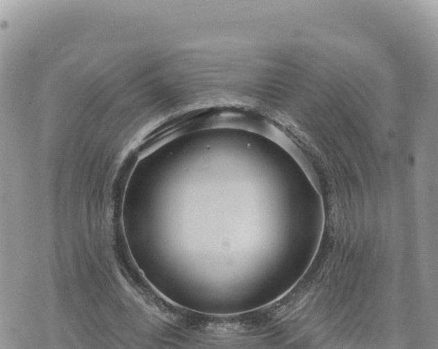 X0000073700440200608101817