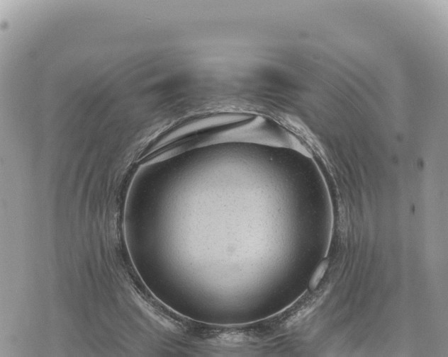 X0000073700441200608101817