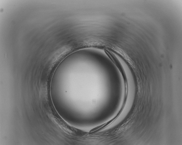 X0000073700442200608101817