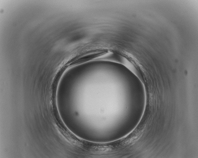 X0000073700443200608101817