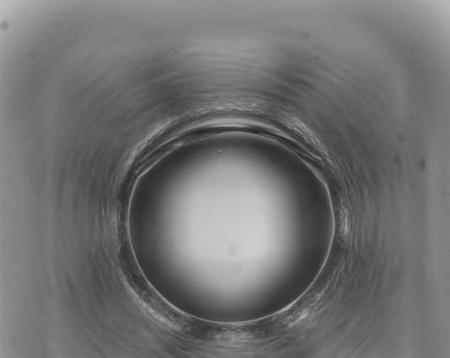 X0000073700444200608101817