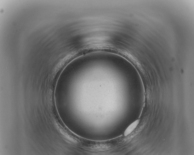 X0000073700445200608101817