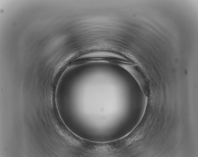 X0000073700446200608101817