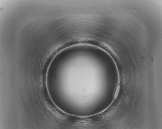 X0000073700447200608101817