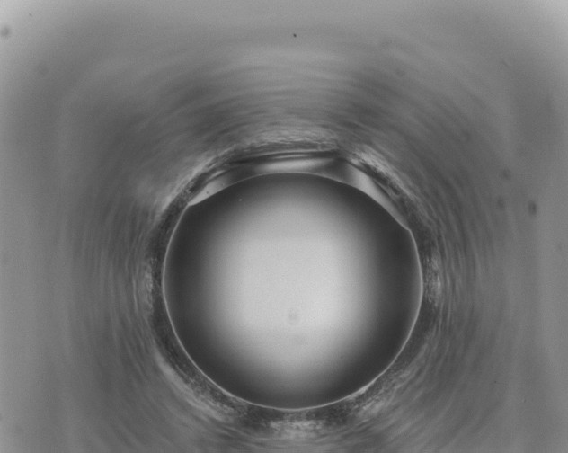 X0000073700448200608101817