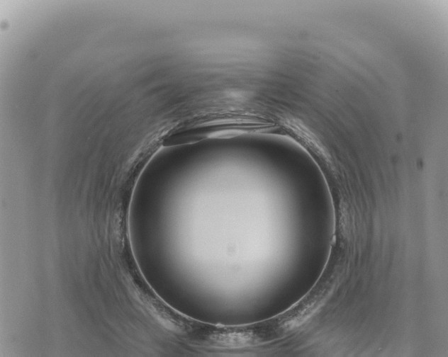 X0000073700449200608101818