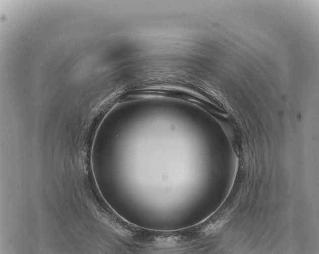 X0000073700450200608101818