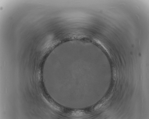 X0000073700451200608101818