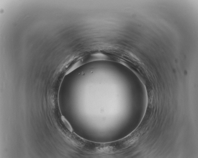 X0000073700452200608101818