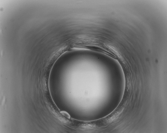 X0000073700453200608101818