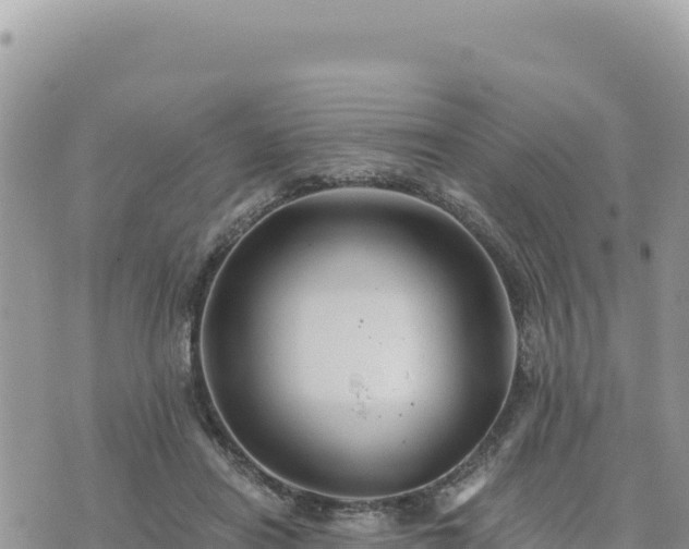 X0000073700454200608101818