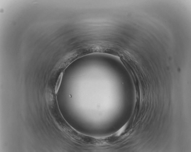 X0000073700456200608101818