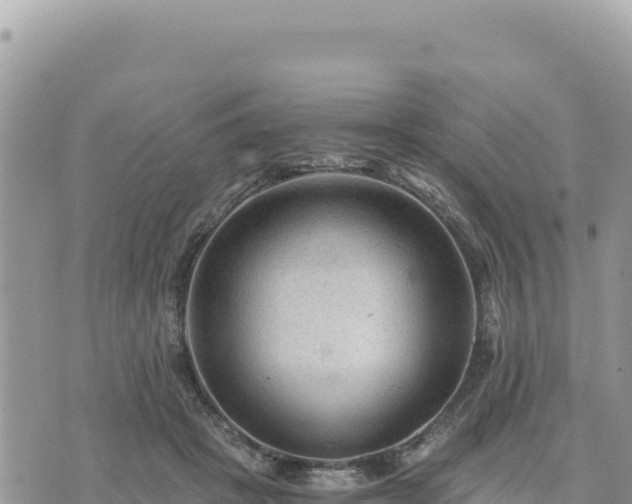 X0000073700457200608101818