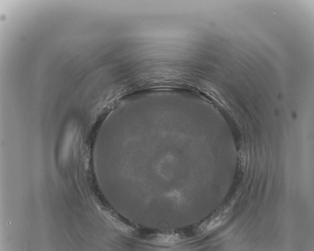 X0000073700458200608101818