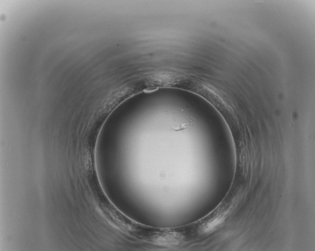 X0000073700459200608101818