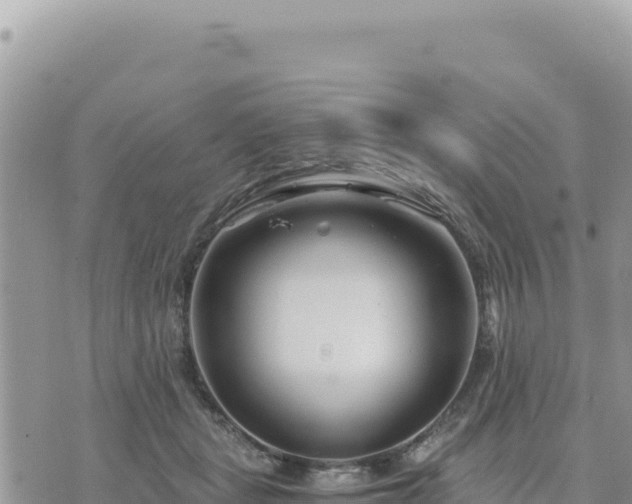 X0000073700461200608101818