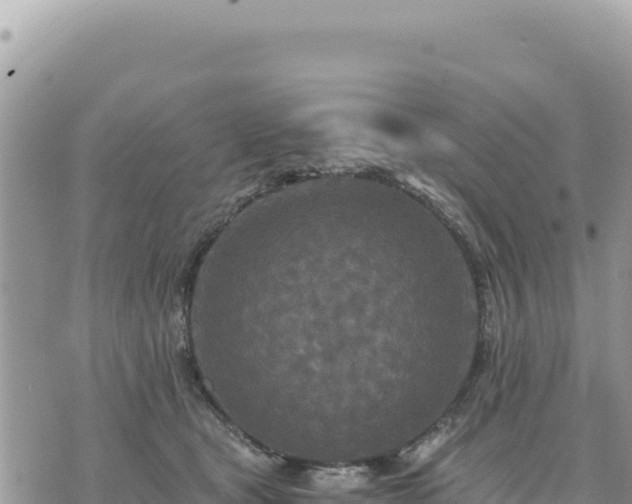 X0000073700465200608101818